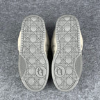 Dior B9S Skater Sneaker ‘Gray Kumo Cannage’